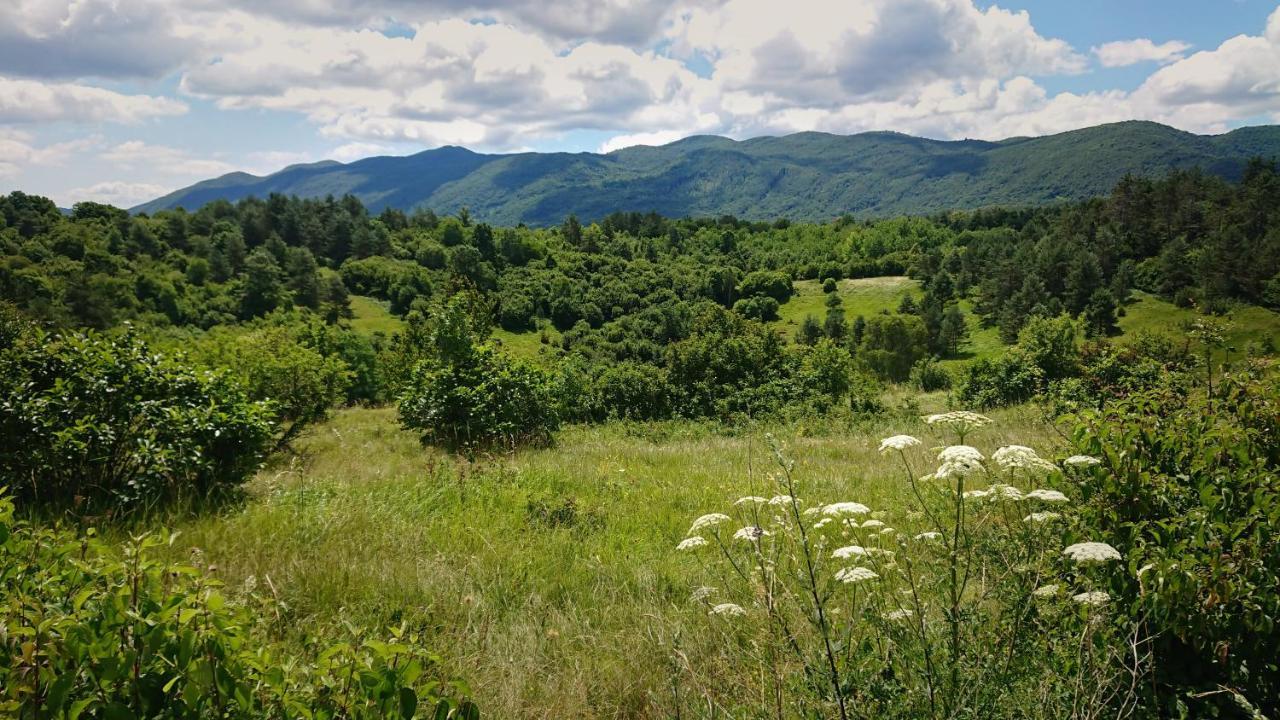 Villa Bora With Sauna And Heated Pool Vele Mune Экстерьер фото